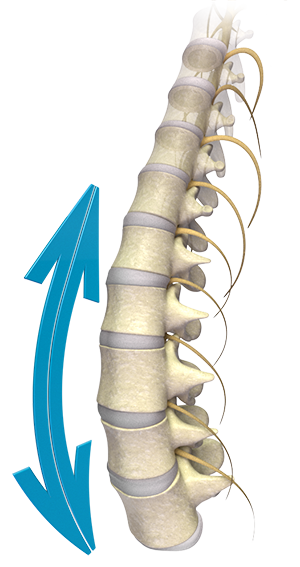Back Pain Lewes